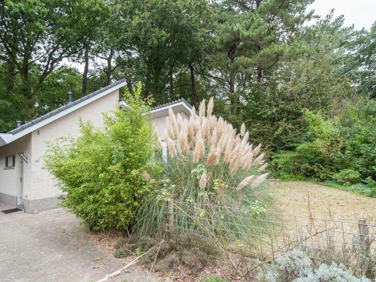 Elite Holiday Home In North Holland Near Forest Schoorl Exterior foto